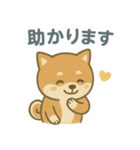 ほんわか柴犬ライフ（個別スタンプ：14）