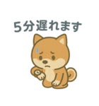 ほんわか柴犬ライフ（個別スタンプ：16）