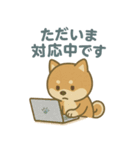 ほんわか柴犬ライフ（個別スタンプ：17）