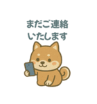 ほんわか柴犬ライフ（個別スタンプ：19）