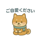 ほんわか柴犬ライフ（個別スタンプ：21）