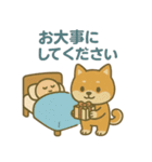 ほんわか柴犬ライフ（個別スタンプ：24）