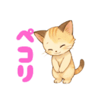 にゃんこニャンニャンニャン（個別スタンプ：10）