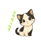 にゃんこニャンニャンニャン（個別スタンプ：31）