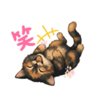 にゃんこニャンニャンニャン（個別スタンプ：33）