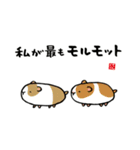 かわいい動物スタンプシリーズ（個別スタンプ：20）