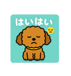 もふもふ茶色わんこの日常（個別スタンプ：11）