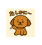 もふもふ茶色わんこの日常（個別スタンプ：23）