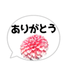 *花* ダリア＆吹き出し（個別スタンプ：1）