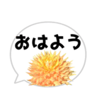*花* ダリア＆吹き出し（個別スタンプ：4）