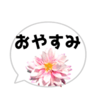 *花* ダリア＆吹き出し（個別スタンプ：5）