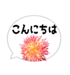 *花* ダリア＆吹き出し（個別スタンプ：7）
