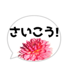 *花* ダリア＆吹き出し（個別スタンプ：8）