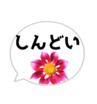 *花* ダリア＆吹き出し（個別スタンプ：9）