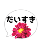 *花* ダリア＆吹き出し（個別スタンプ：11）