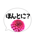 *花* ダリア＆吹き出し（個別スタンプ：13）