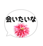 *花* ダリア＆吹き出し（個別スタンプ：19）
