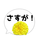 *花* ダリア＆吹き出し（個別スタンプ：20）