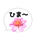 *花* ダリア＆吹き出し（個別スタンプ：21）