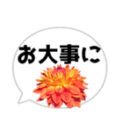 *花* ダリア＆吹き出し（個別スタンプ：22）