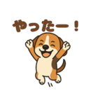 ごきげんビーグルのほのぼのスタンプ（個別スタンプ：3）