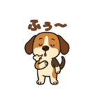 ごきげんビーグルのほのぼのスタンプ（個別スタンプ：8）