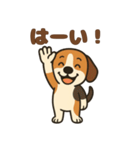 ごきげんビーグルのほのぼのスタンプ（個別スタンプ：9）