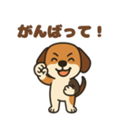 ごきげんビーグルのほのぼのスタンプ（個別スタンプ：13）