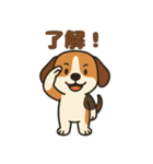 ごきげんビーグルのほのぼのスタンプ（個別スタンプ：14）