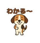 ごきげんビーグルのほのぼのスタンプ（個別スタンプ：17）