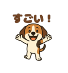ごきげんビーグルのほのぼのスタンプ（個別スタンプ：19）