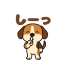 ごきげんビーグルのほのぼのスタンプ（個別スタンプ：21）