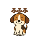 ごきげんビーグルのほのぼのスタンプ（個別スタンプ：23）
