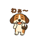 ごきげんビーグルのほのぼのスタンプ（個別スタンプ：25）