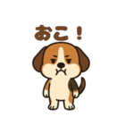ごきげんビーグルのほのぼのスタンプ（個別スタンプ：27）