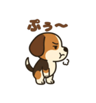 ごきげんビーグルのほのぼのスタンプ（個別スタンプ：28）