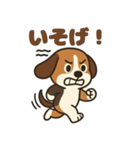 ごきげんビーグルのほのぼのスタンプ（個別スタンプ：29）