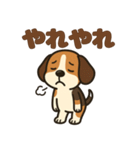 ごきげんビーグルのほのぼのスタンプ（個別スタンプ：30）
