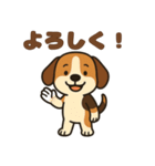 ごきげんビーグルのほのぼのスタンプ（個別スタンプ：32）