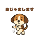 ごきげんビーグルのほのぼのスタンプ（個別スタンプ：37）