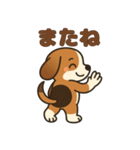 ごきげんビーグルのほのぼのスタンプ（個別スタンプ：38）