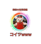 ⚫架空のショート動画の外国人で日常会話2（個別スタンプ：19）