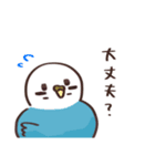 肥満気味のとり。【いつでも使える】（個別スタンプ：22）
