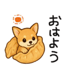 色々な柴犬とチワワのスタンプ（個別スタンプ：2）