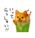 色々な柴犬とチワワのスタンプ（個別スタンプ：5）