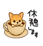 色々な柴犬とチワワのスタンプ（個別スタンプ：10）