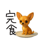 色々な柴犬とチワワのスタンプ（個別スタンプ：12）