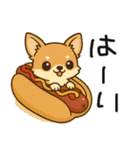 色々な柴犬とチワワのスタンプ（個別スタンプ：32）