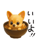 色々な柴犬とチワワのスタンプ（個別スタンプ：36）