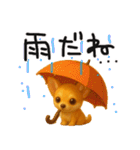 色々な柴犬とチワワのスタンプ（個別スタンプ：40）